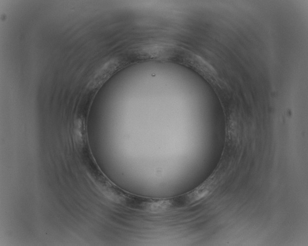 X0000073720122200608171213