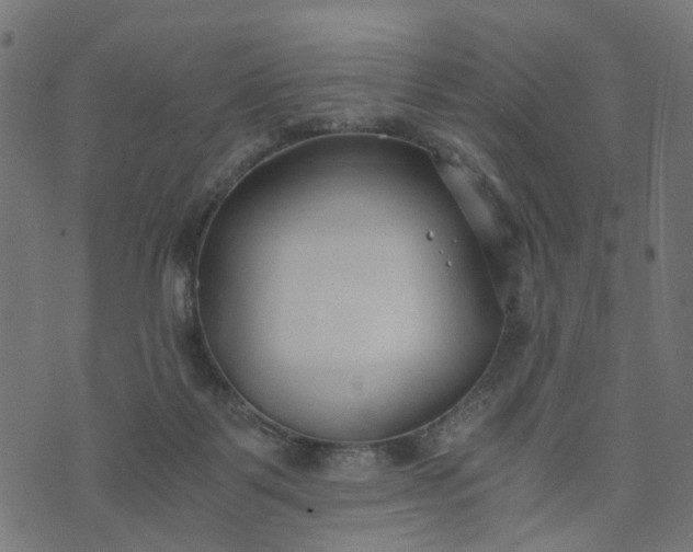 X0000073720123200608171213