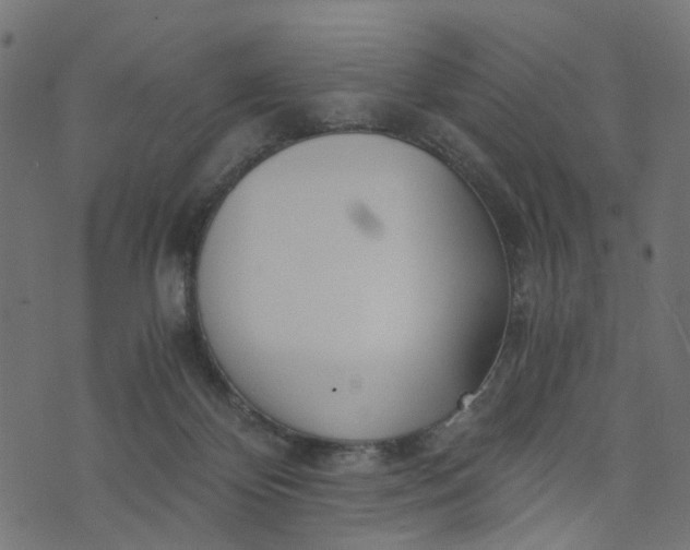 X0000073720124200608171213