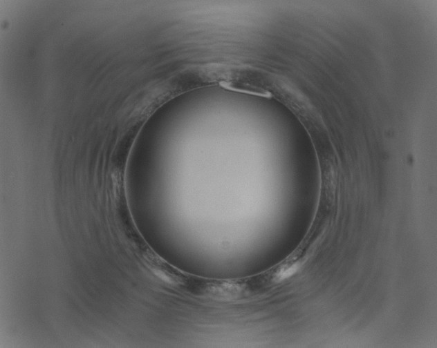 X0000073720125200608171213