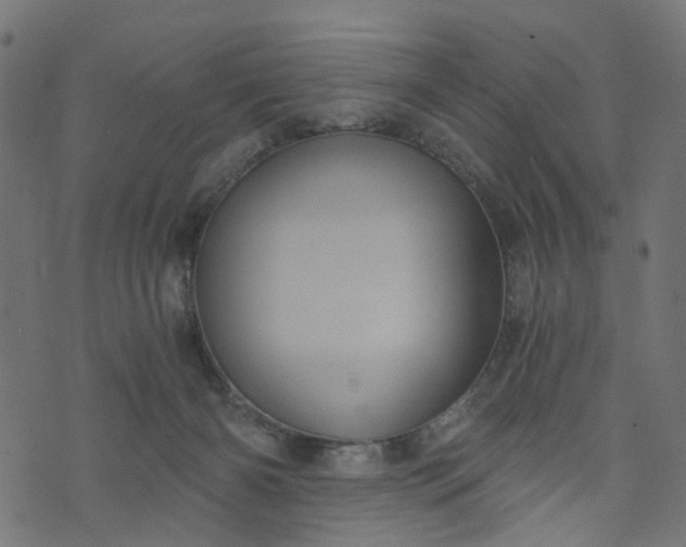 X0000073720126200608171213