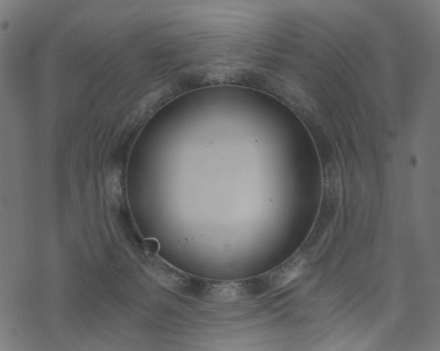 X0000073720127200608171213