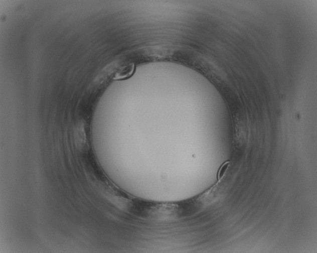 X0000073720128200608171213