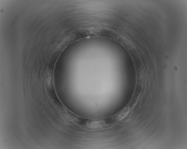 X0000073720129200608171213