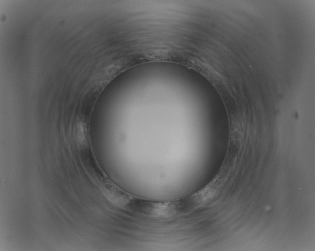 X0000073720130200608171213