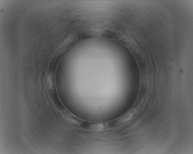 X0000073720131200608171213