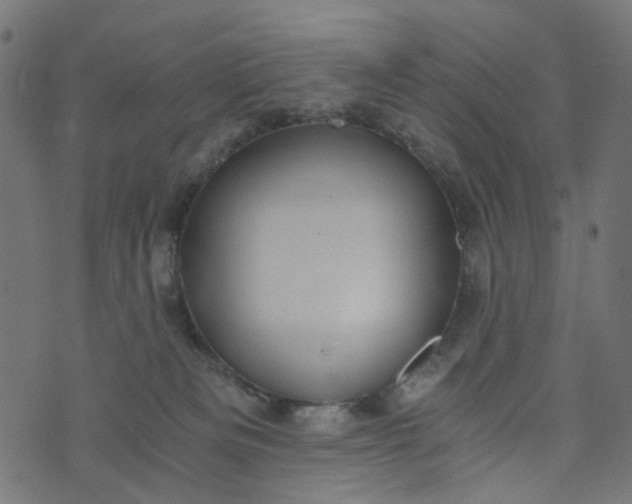 X0000073720133200608171213