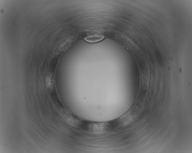 X0000073720134200608171213