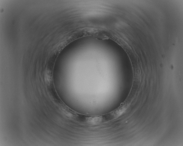 X0000073720135200608171213