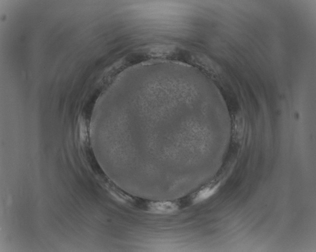 X0000073720137200608171213