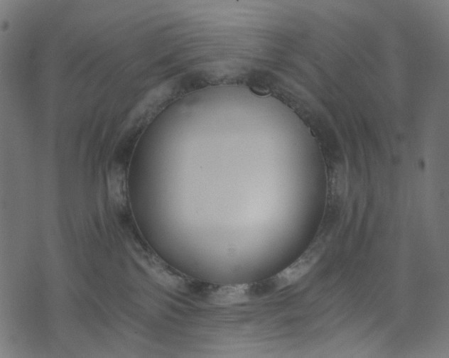 X0000073720138200608171213