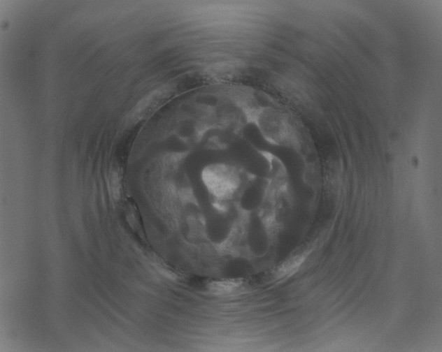 X0000073720139200608171213