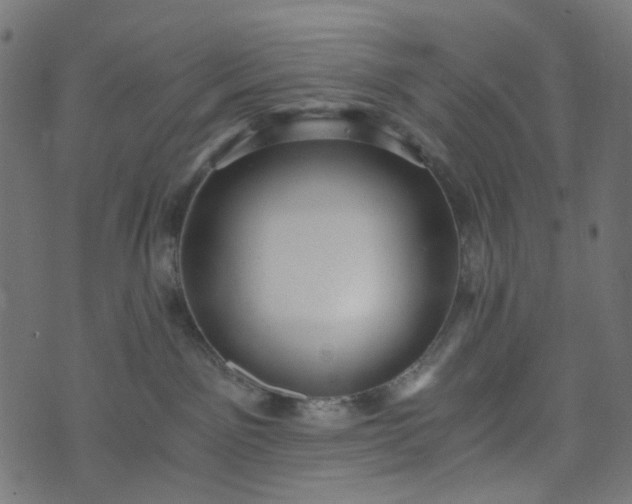 X0000073720141200608171213