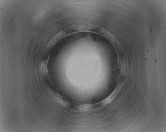 X0000073720142200608171213