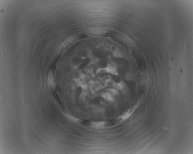 X0000073720143200608171213