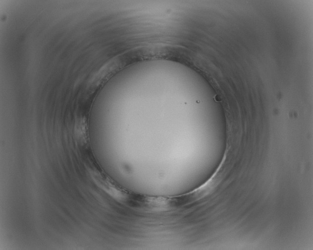 X0000073720144200608171213