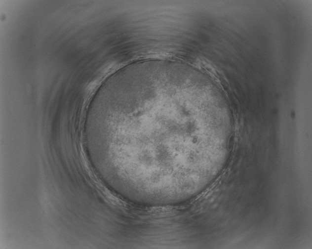 X0000073720145200608171212