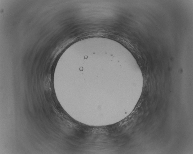 X0000073720146200608171212