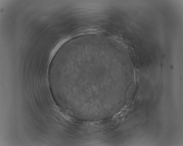 X0000073720147200608171212