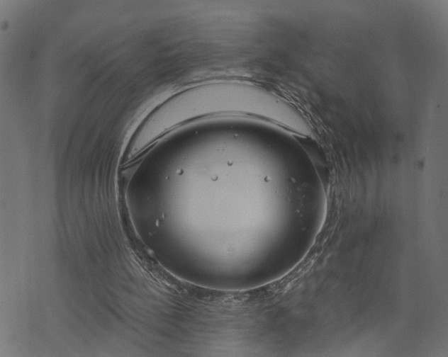 X0000073720148200608171212