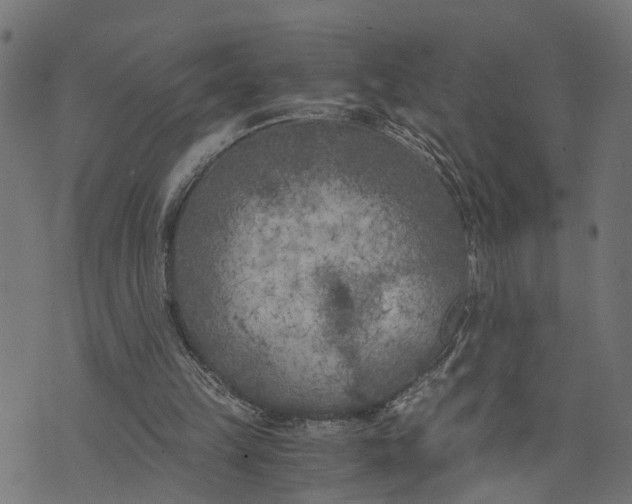 X0000073720149200608171212