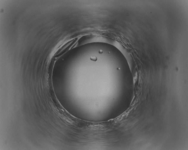 X0000073720150200608171212