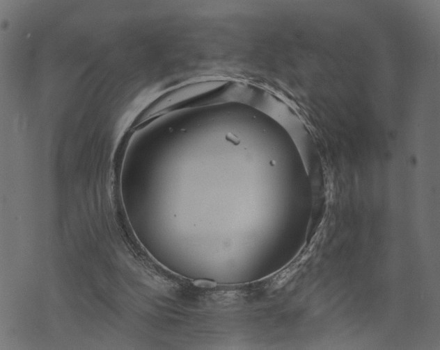 X0000073720152200608171212