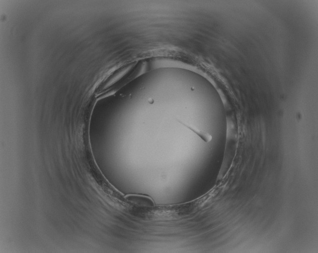 X0000073720154200608171212