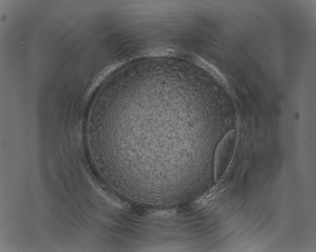 X0000073720155200608171212