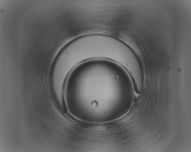 X0000073720156200608171212