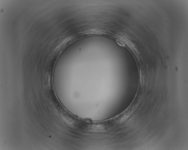 X0000073720157200608171212