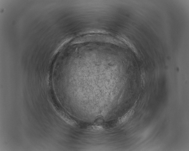 X0000073720159200608171212