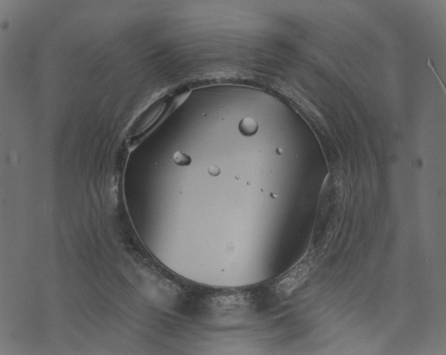 X0000073720160200608171212