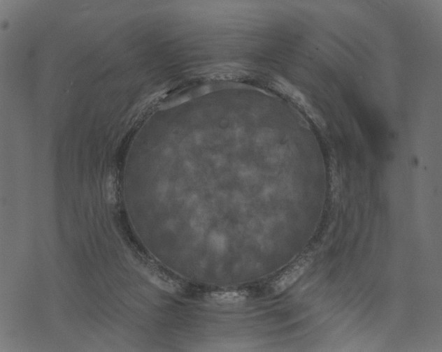 X0000073720161200608171212