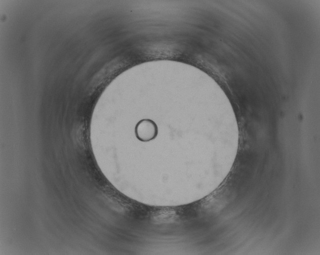 X0000073720162200608171212