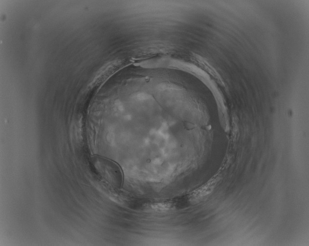 X0000073720163200608171212