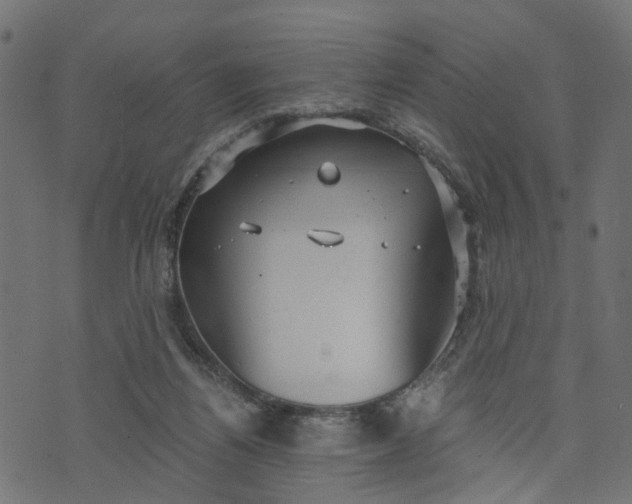 X0000073720164200608171212