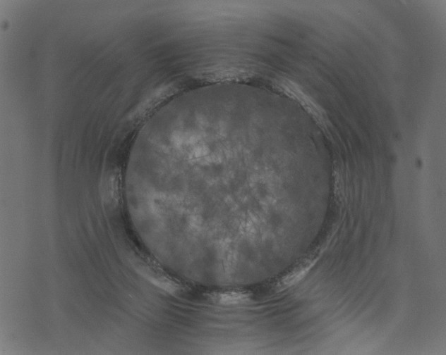 X0000073720165200608171212