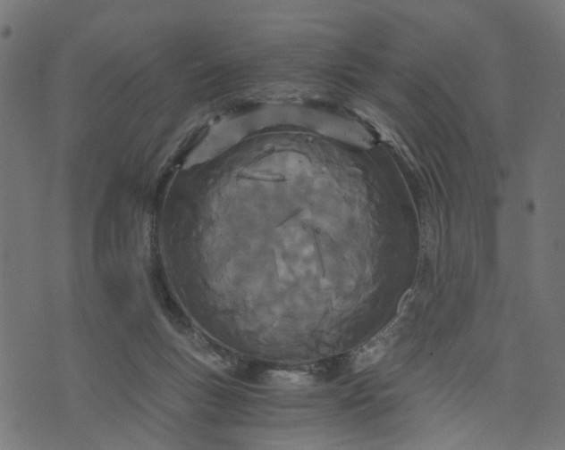 X0000073720167200608171212