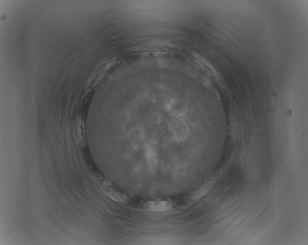 X0000073720169200608171212