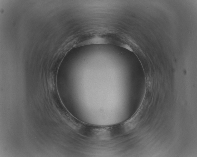 X0000073720170200608171212