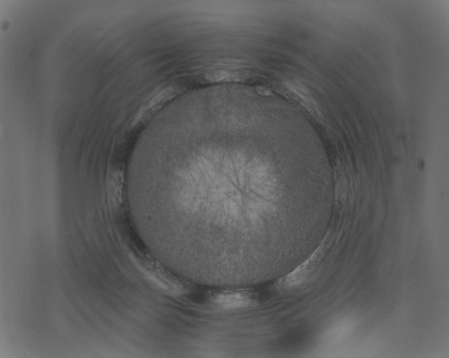 X0000073720171200608171212