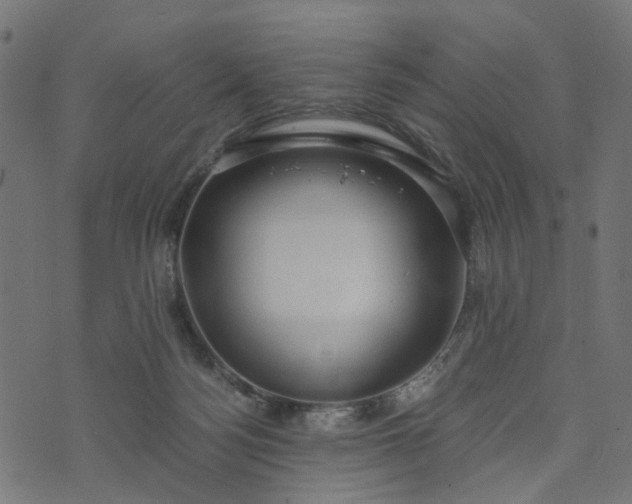 X0000073720172200608171212