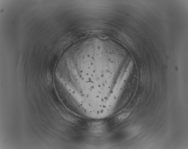 X0000073720173200608171212