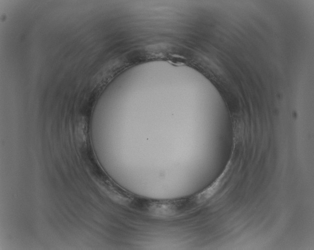 X0000073720174200608171212