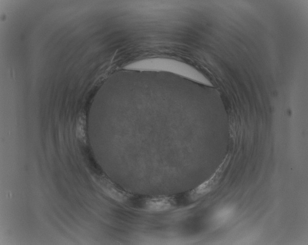 X0000073720175200608171213