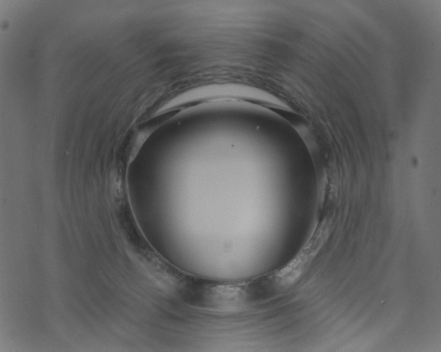 X0000073720176200608171213