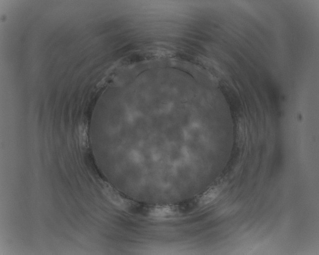 X0000073720177200608171213