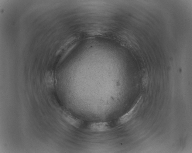 X0000073720179200608171213