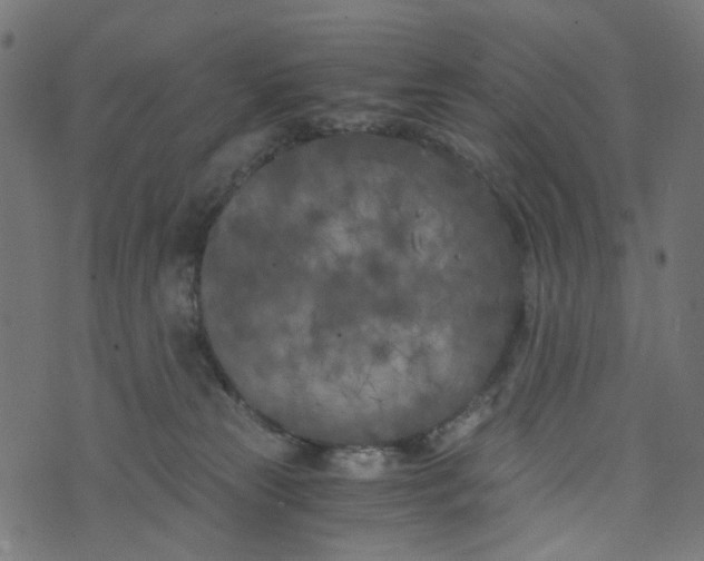 X0000073720181200608171213